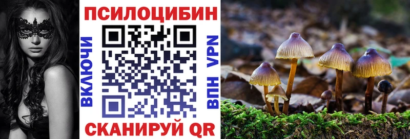 купить  сайты  Светлогорск  Псилоцибиновые грибы ЛСД 