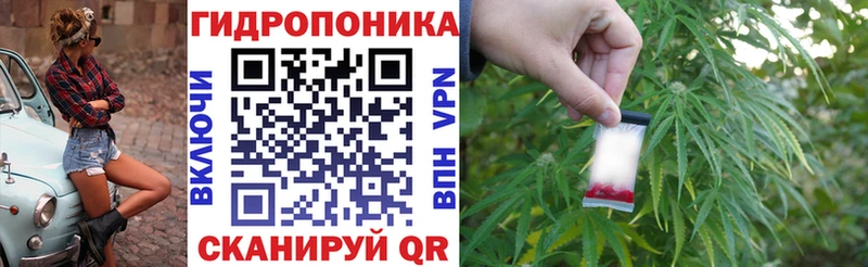Марихуана Amnesia  наркотики  Светлогорск 